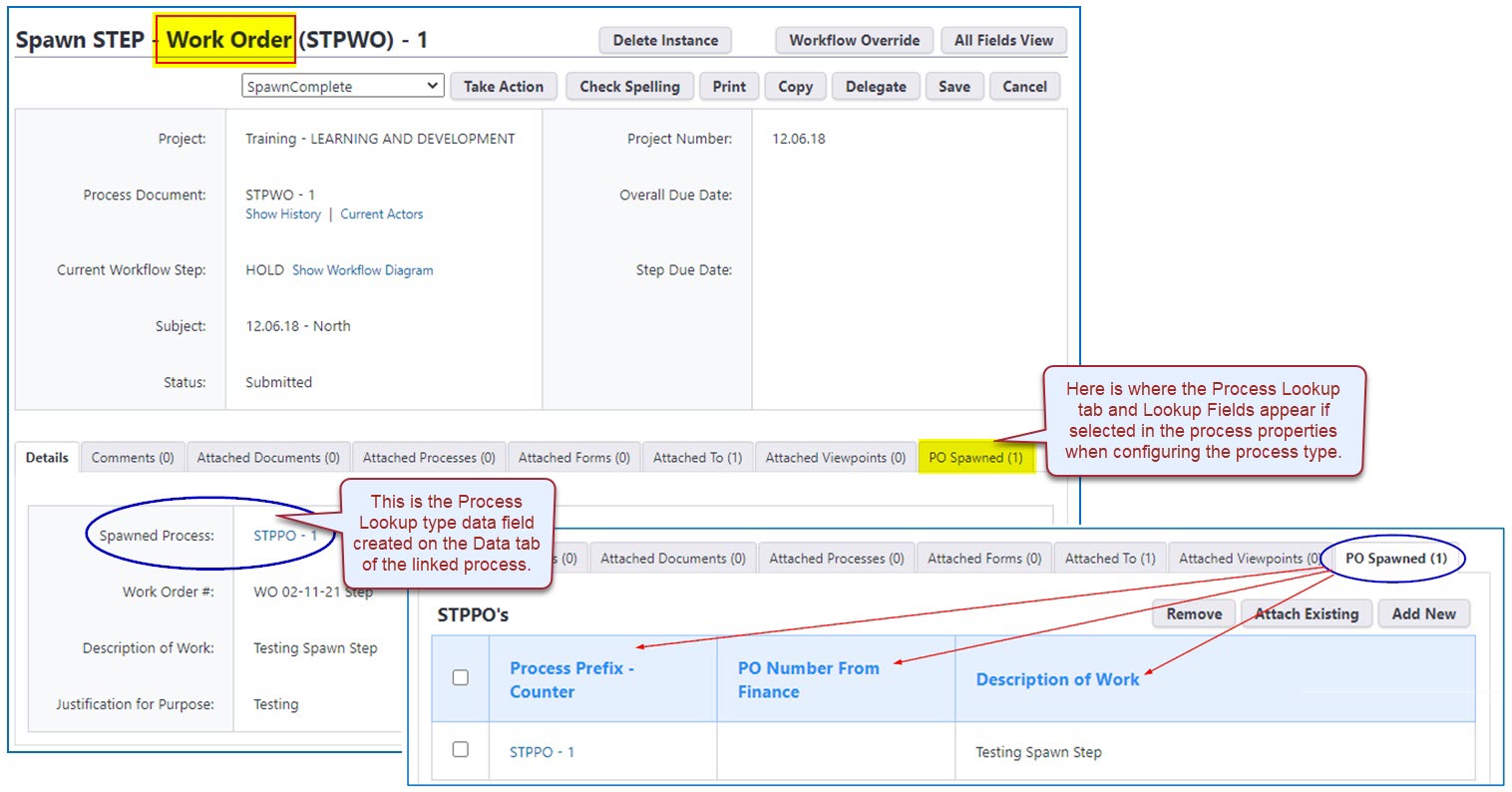 Parent Process Instance